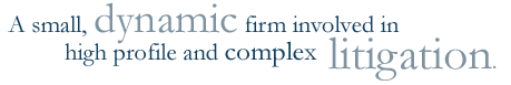 A small, dynamic firm involved in high profile and complex litigation